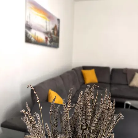 Square View * Τίρανα